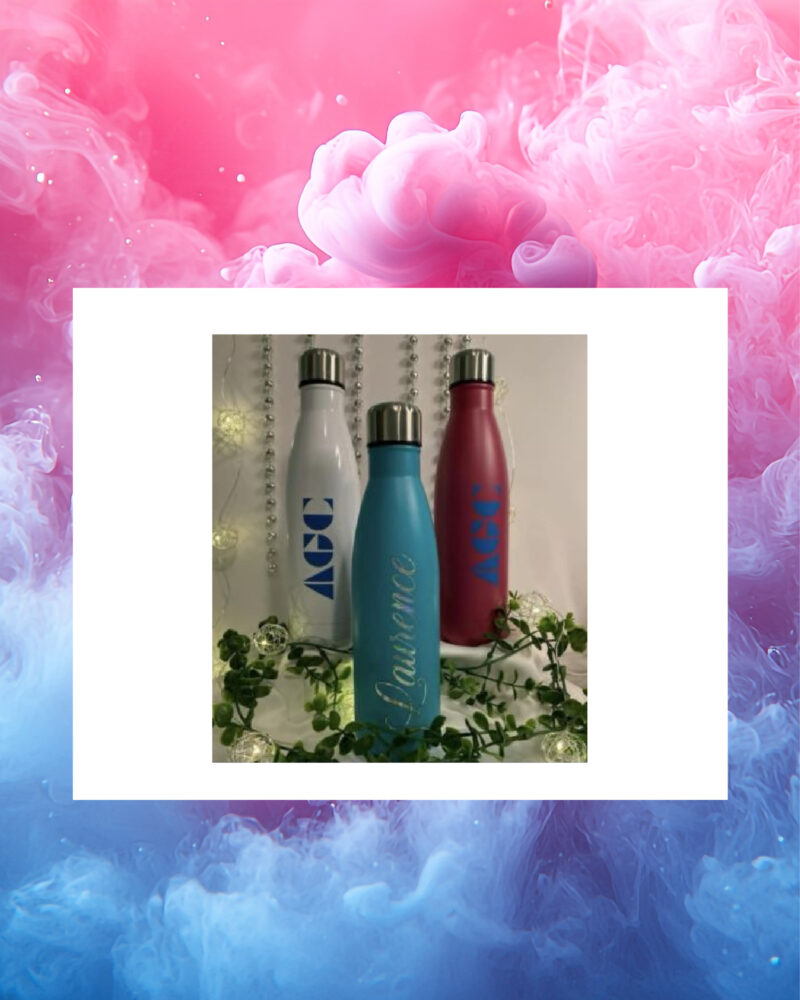 bouteille stainless
