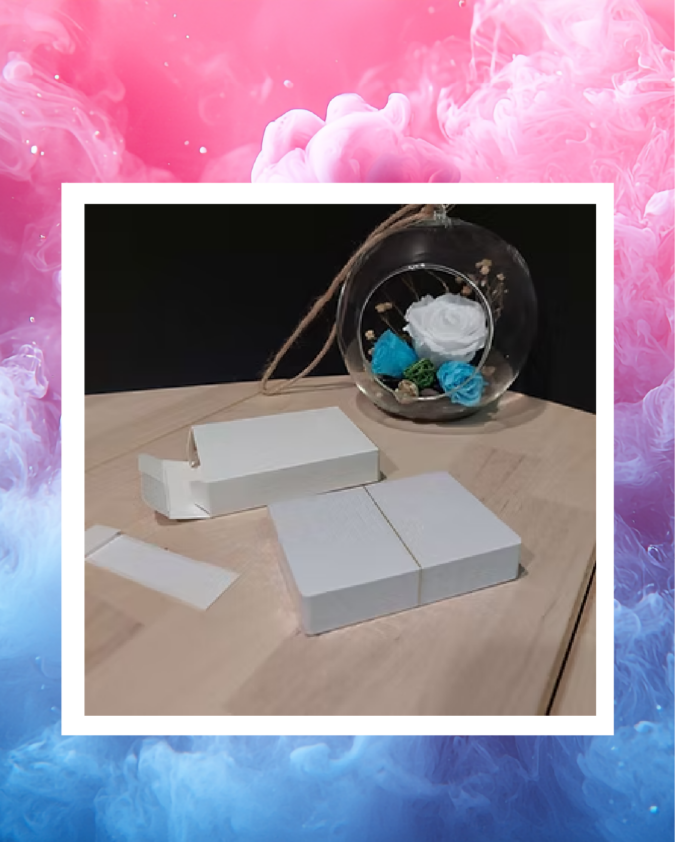 Carte d’affaires blanche en PVC