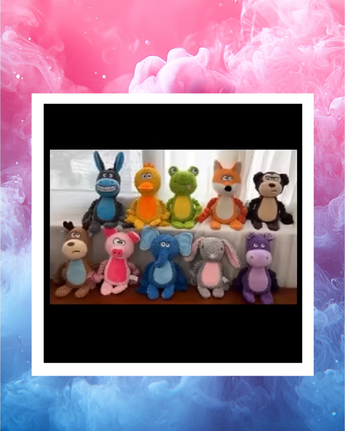 Toutou jouet pour animaux – Personnalisable