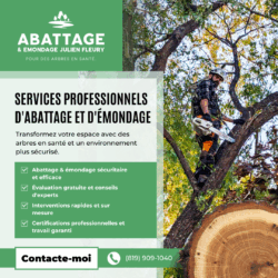 Abattage & Émondage Julien Fleury