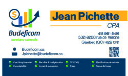 Carte d'affaire Budeficom
