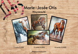carte de souhait cheval - facebook