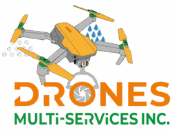 Logo Drones Multi-Services INC.