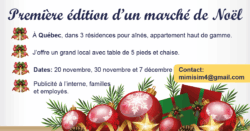 visuel marché de noel